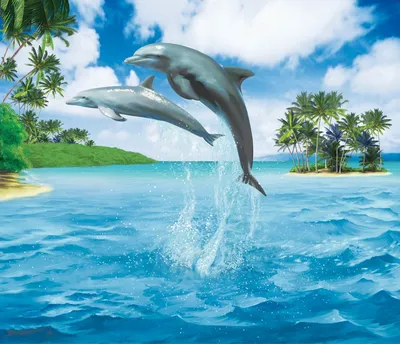 Биолог рассказал, выживут ли выброшенные в море в Севастополе дельфины –  Москва 24, 03.11.2022