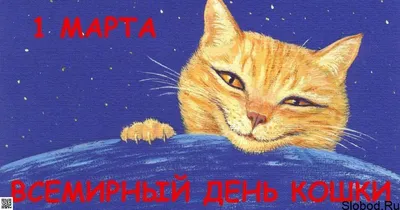 Всемирный день кошек празднуется 8 августа. | ВКонтакте