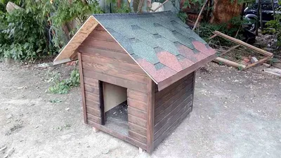 Будка для собак своими руками (55 фото): необычные домики, рубленный из  дерева, свой навес, как покрасить | Будки, Кровати для щенков, Будки для  собак