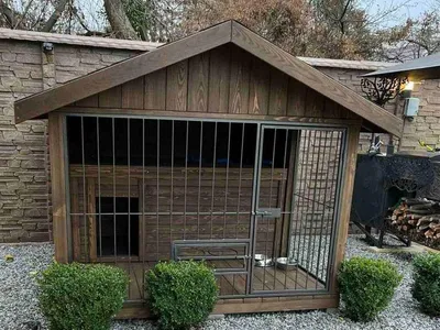 Деревянная будка для собаки: проектирование, изготовление, декорирование