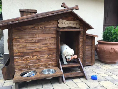 Деревянные будки, домики для собак (ID#85358649), купить на Prom.ua