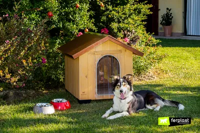 Деревянная будка для собаки купить в Киеве и Украине