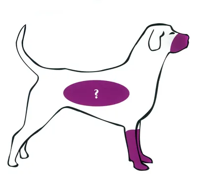 Стригущий лишай у собак - Интернет-магазин \"Belvet\" - онлайн гипермаркет,  ветеринарные товары и оборудование