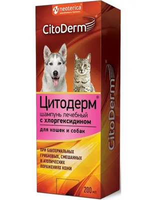 Дерматофития. Как диагностировать и лечить в условиях ветеринарной клиники  | ВКонтакте