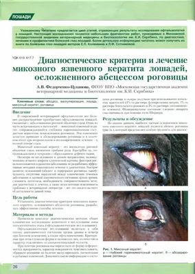 Вакцина ПОЛИВАК-ТМ против дерматомикозов лошадей, 10 фл по 1 дозе.  ВЕТБИОХИМ.