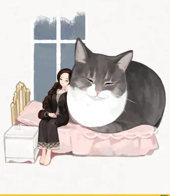 девушка кот, кошки девушки, девушка, кошка, рыжий кот, Свадебная прическа и  макияж Москва