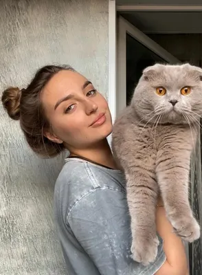 Девочка и кот | Пикабу