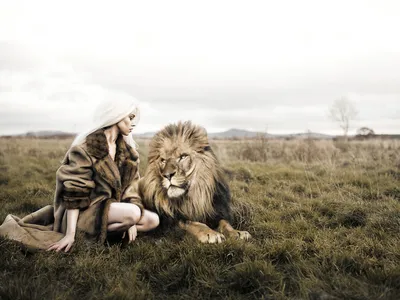 Картина \"Девушка и лев\" 20х30(23х33) см (6774344) - Купить по цене от  174.00 руб. | Интернет магазин SIMA-LAND.RU