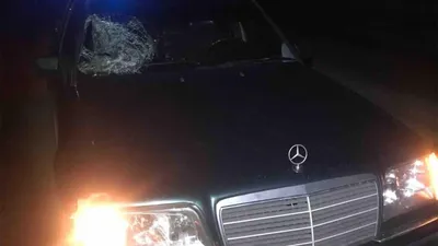 Житель Краснодара дошел до Верховного суда, чтобы вернуть подаренный девушке  Mercedes-Benz | 11.02.2019 | Краснодар - БезФормата