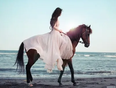 Девушка в широком платье скачет на лошади по берегу моря — Фотки на аву |  Лошадь и девушка фотография, Фотографии лошадей, Лошади