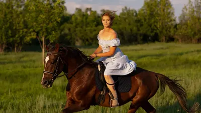 Девушка на лошади стоковое фото. изображение насчитывающей урок - 243980488
