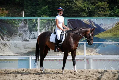 [71+] Девушка на коне фото фото