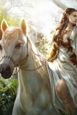 Купить картина по номерам \"Девушка и лошадь\", 40х50 см. OTG6143, цены на  Мегамаркет | Артикул: 600005343874