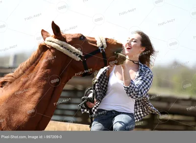 Модель HYX17906CG / Статуэтка девушка на коне Купить качественный товар по  низкой ценe в Баку с бесплатной доставкой до дома | Mal.al