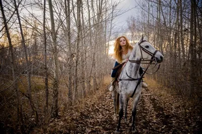 Девушка И Лошадь Конкур Стоковые Фотографии | FreeImages