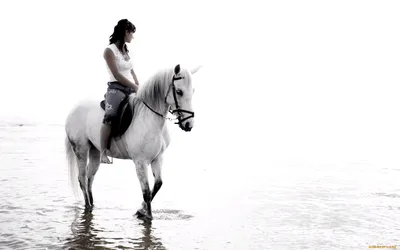Девушка и конь 2 | Пикабу