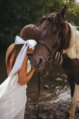 Дама на лошади - фотосессия для девушек в Москве