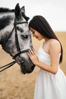 🐴 красивая лошадь и на ней …» — создано в Шедевруме