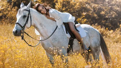 Девушка на лошади с белыми крыльями ангела на лошади Стоковое Фото -  изображение насчитывающей вероисповедание, мило: 209118180