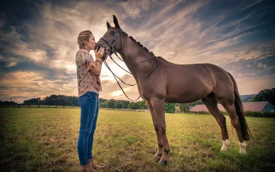 Women and horse | Лошадь и девушка фотография, Фотосессия, Девушка и лошадь