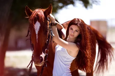 Девушка и её конь | Пикабу