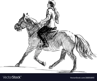 Девушка на лошади Stock Photo | Adobe Stock