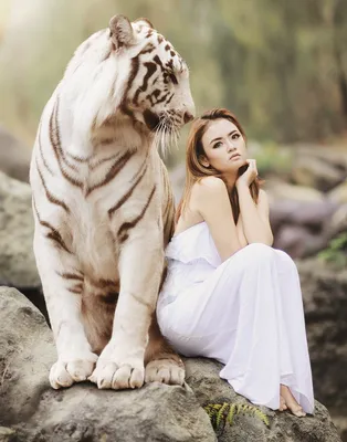 Онлайн пазл «Тигр и девушка»