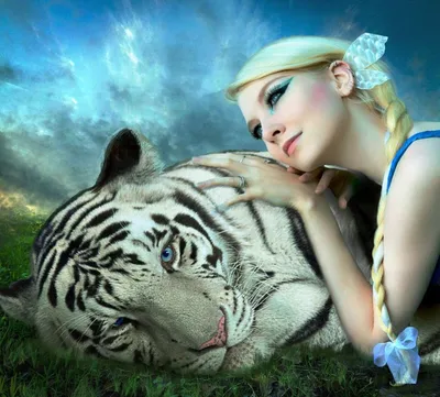 Картина по номерам \" Девушка-тигр \" 40*50см (id 85885668), купить в  Казахстане, цена на Satu.kz