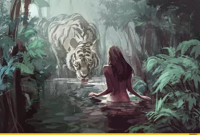 Картина для рисования по номерам Девушка с тигром размер 30*40 в комплекте  входит краска акриловый и 2шт кисточки оптом: купить дешево в Москве