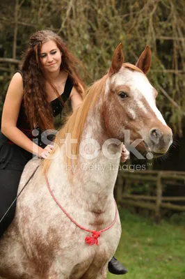 Женщина верхом на лошади стоковое фото. изображение насчитывающей  оборудование - 62225746