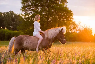 Девушка верхом на лошади стоковое фото ©muro 86067402