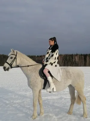 Девушка на рыжей лошади с луком :: Мария – Социальная сеть ФотоКто