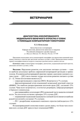 Дисплазия локтевых суставов - статьи о ветеринарии «Свой Доктор»