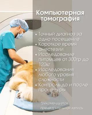 Дисплазия у собак - симптомы, признаки и лечение | Как лечить дисплазию  суставов у собак | Pet-Yes