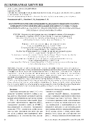 Остеоартроз у собак (клинико-рентгено-морфологические корреляции) » Центр  травматологии животных