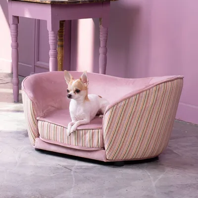 Розовый диван для собаки Teddy купить в интернет-магазине