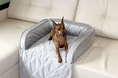 Диван-кровать для домашних животных, коврик для гнезда для собак, глубокий  сон для домашних животных осенью и зимой, диван-кровать для больших собак –  лучшие товары в онлайн-магазине Джум Гик