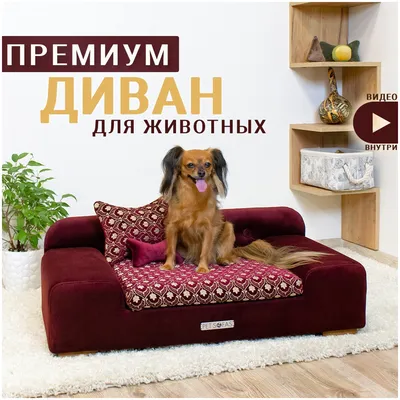 Диваны для собак на заказ - Лежанки и напольные подушки для домашних  животных