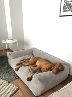 Лежанка-диван для больших собак, размер L в интернет-магазине Ярмарка  Мастеров по цене 23900 ₽ – HY97BRU | Лежанки, Москва - доставка по России