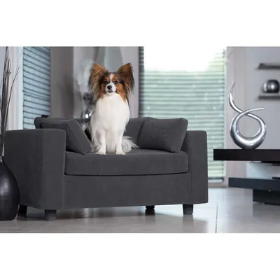 Диваны для собак- премиум качества | Мягкая мебель | Дзен