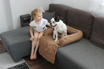 Лежак-диван для собак Гамма Фаворит Гранд, размер 3, размер 134х100х8см.,  цвета в ассортименте - Интернет зоомагазин MyPet-Online.ru