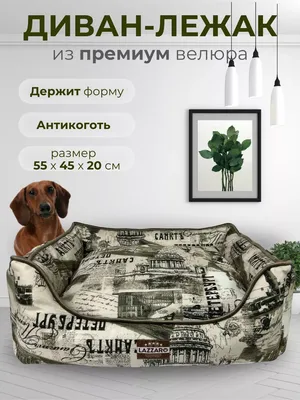 Купить Диван Гю-Вас «Гламур» для кошек и собак в Санкт-Петербурге |  korm4u.ru