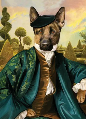 DiDog - единственный в России питомник дизайнерских собак - Питомник помски  и мальтипу Didog
