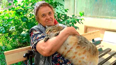 В Новомосковске кот Федя две недели ждал погибшего хозяина и чуть не умер  от голода