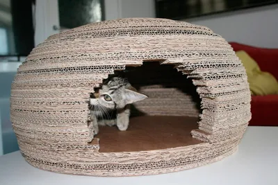 Как сделать домик для кошки из картона своими руками