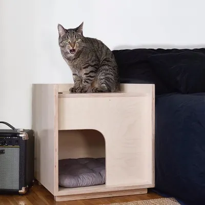 Как смастерить домик для кошки своими руками: 8 дельных советов и примеров  | ivd.ru