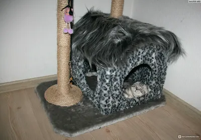 Домик для Кошки из шпагата своими руками!The best do-it-yourself cat house  on You Tube. - YouTube
