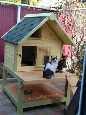 Домики для кошек - купить домик для кошки, цены в интернет магазинах на  Мегамаркет