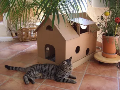 Необычные домики для кошек своими руками и не только: Идеи и вдохновение в  журнале Ярмарки Мастеров