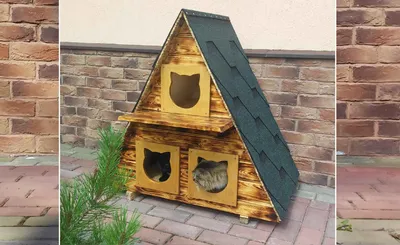 Домик для кошки своими руками (116 фото): пошаговые инструкции, схемы и  выкройки простого домика для кошки
